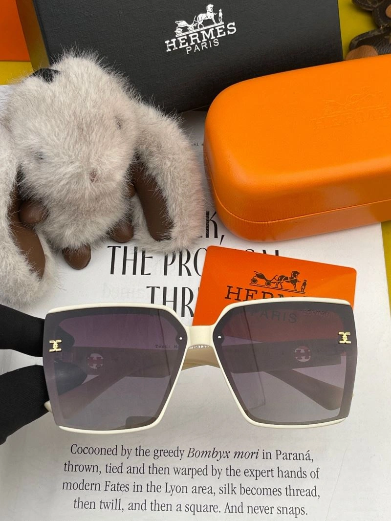 Unisex Hermes Sunglasses 280229