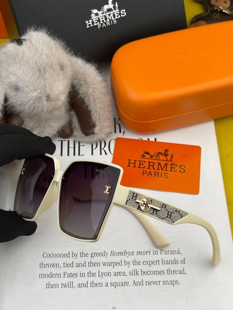 Unisex Hermes Sunglasses 280229