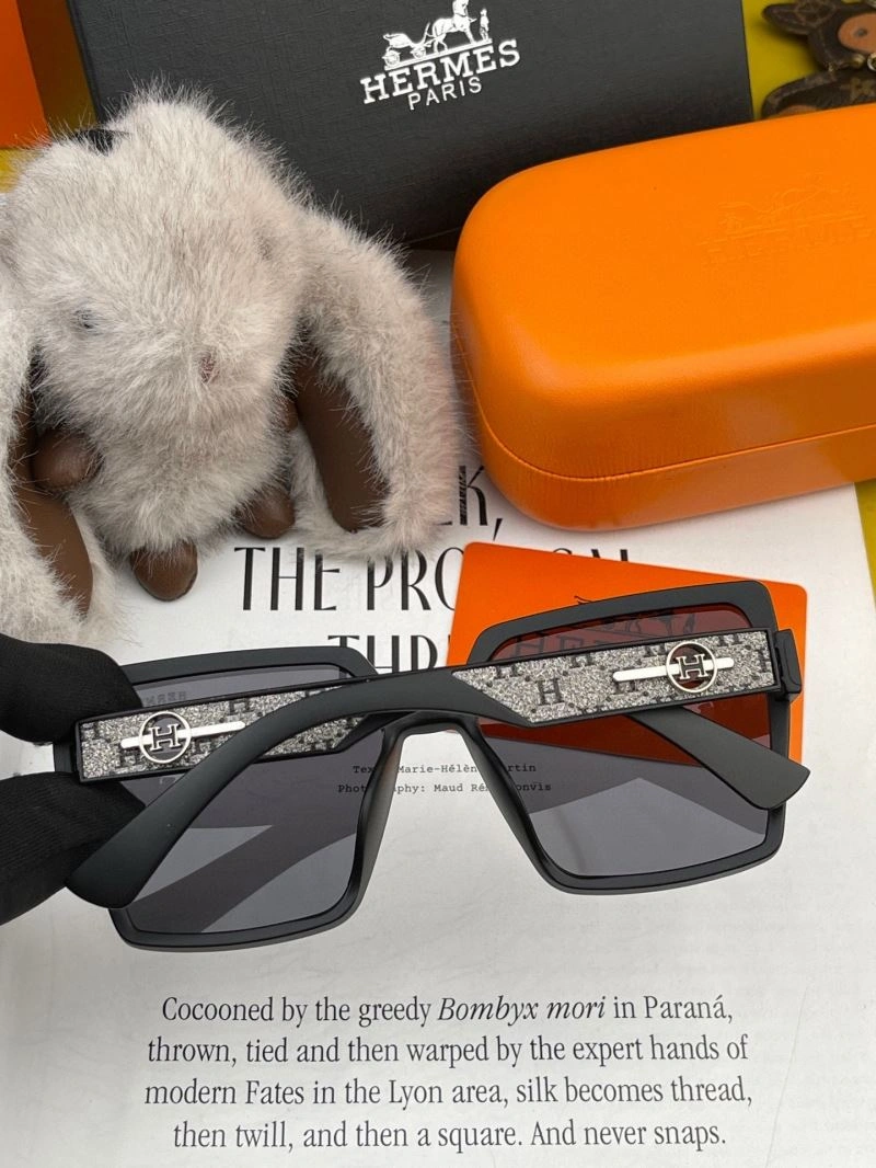 Unisex Hermes Sunglasses 280229