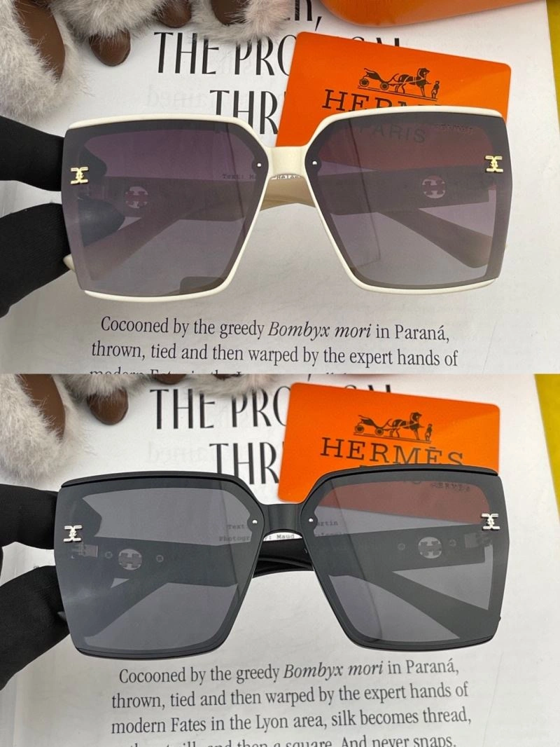 Unisex Hermes Sunglasses 280229