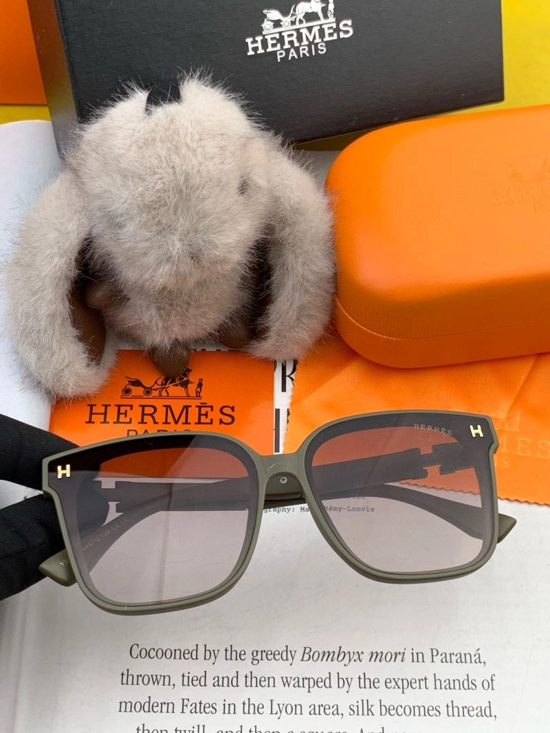 MultiPurpose Hermes Sunglasses 280208