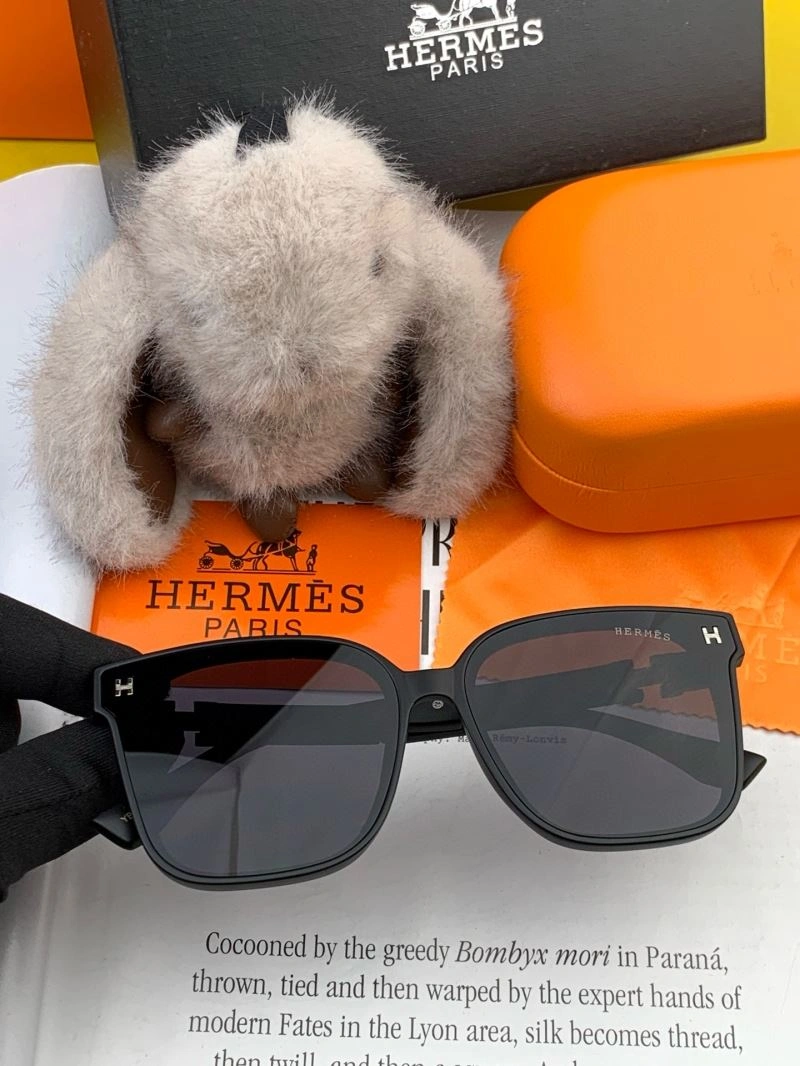 MultiPurpose Hermes Sunglasses 280208