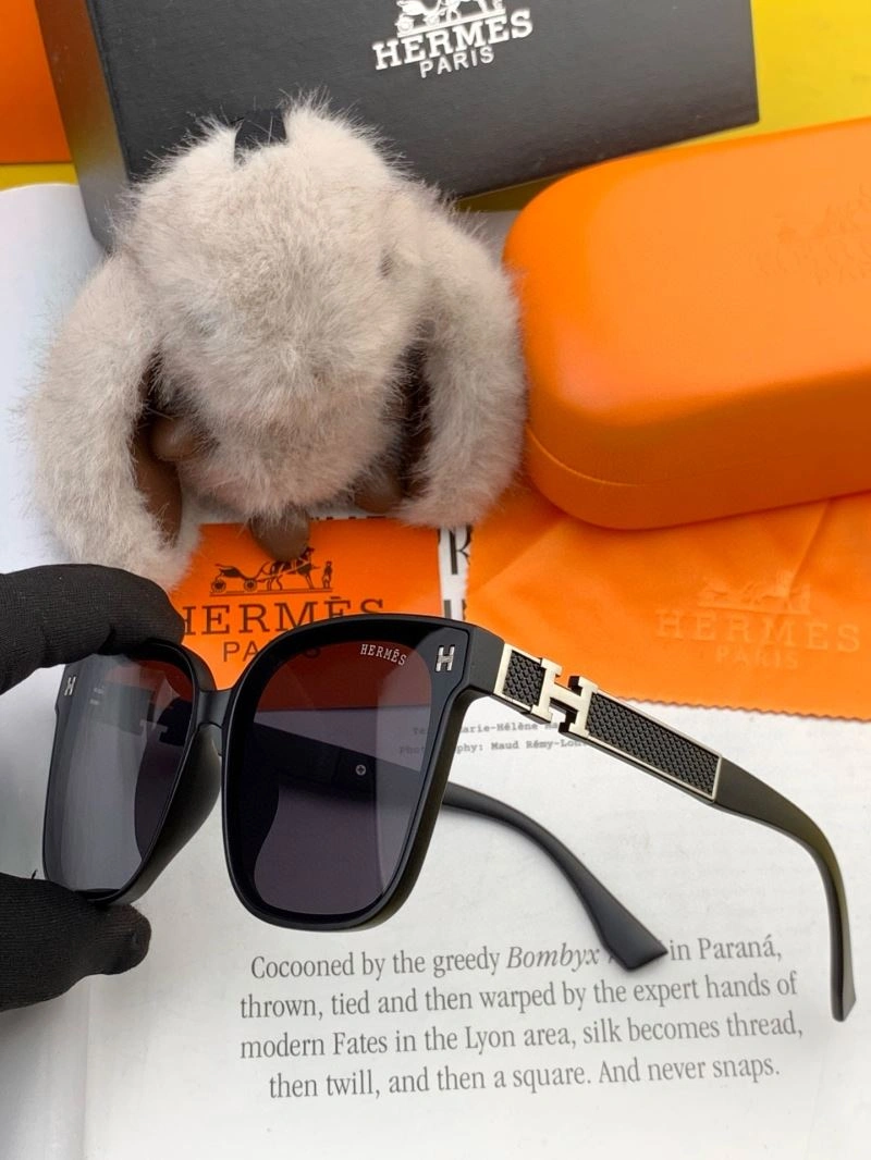 MultiPurpose Hermes Sunglasses 280208