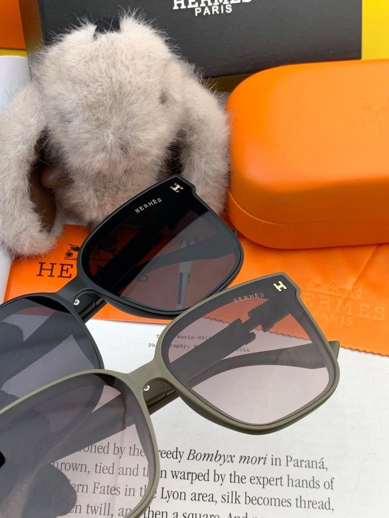 MultiPurpose Hermes Sunglasses 280208