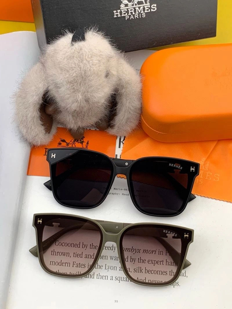 MultiPurpose Hermes Sunglasses 280208