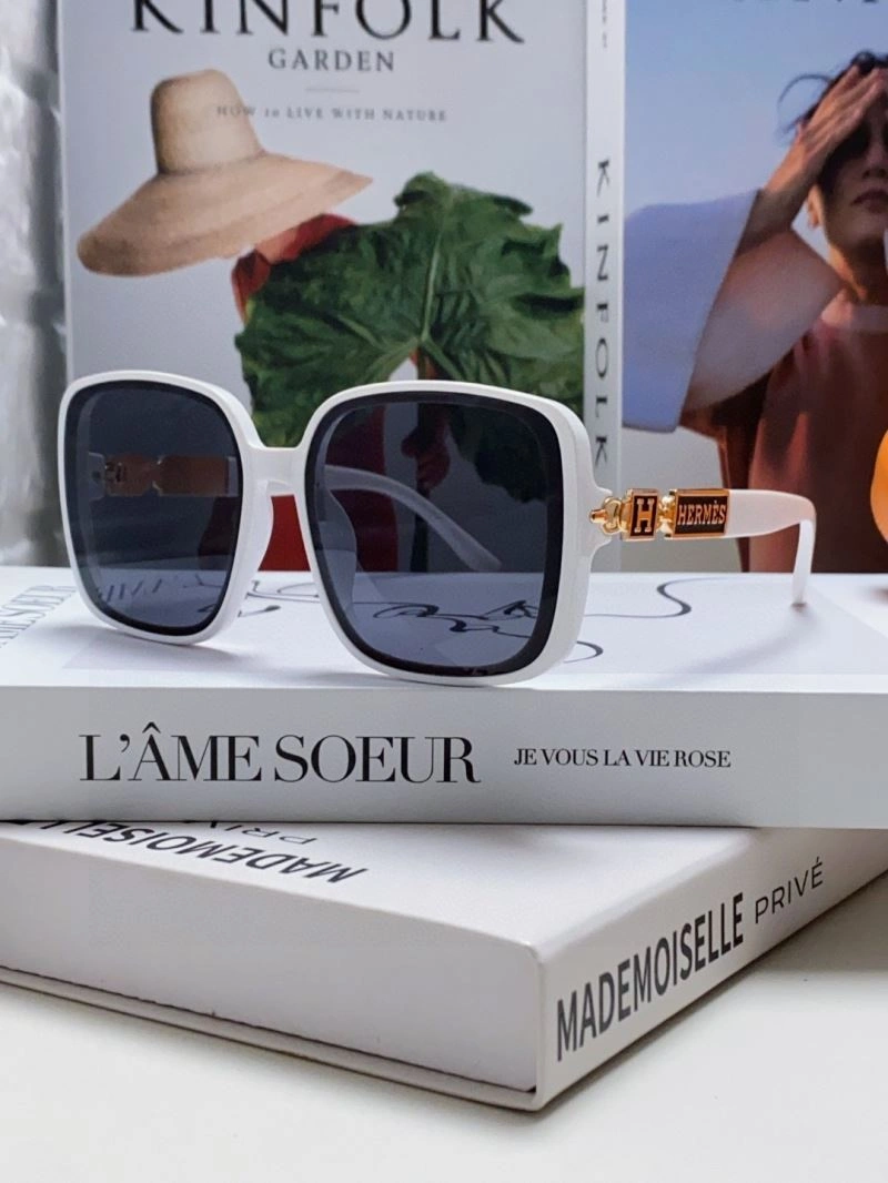 Hermes Sunglasses Snug 280191