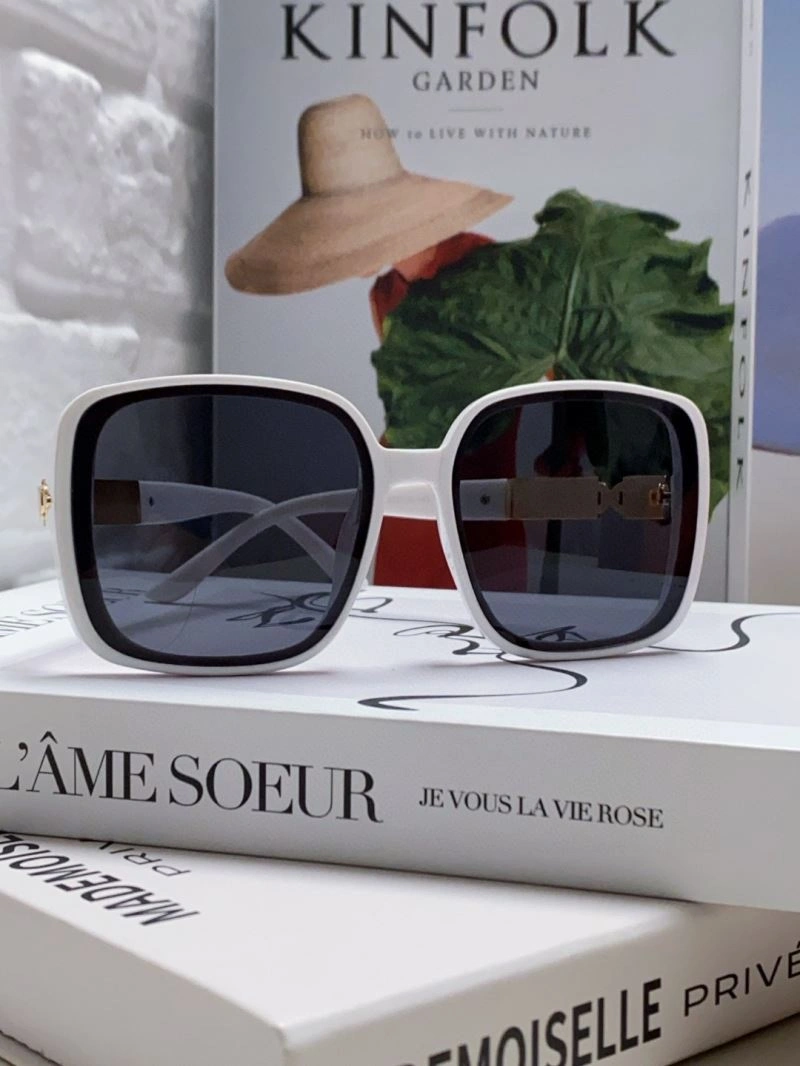 Hermes Sunglasses Snug 280191