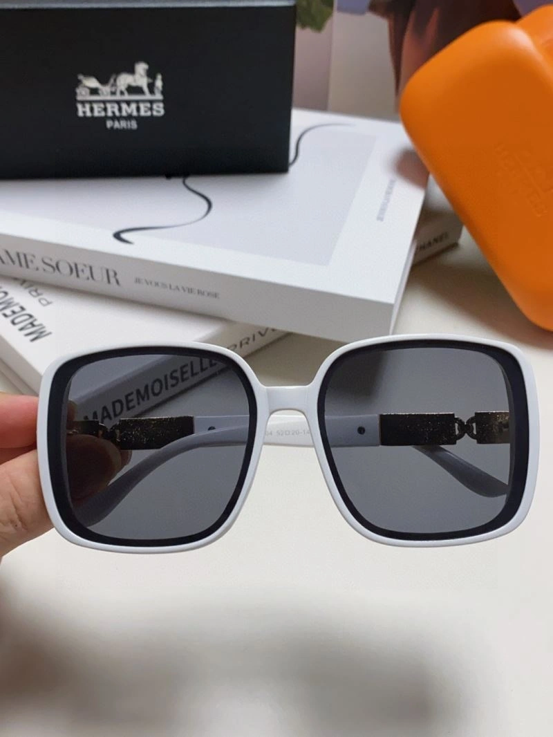 Hermes Sunglasses Snug 280191