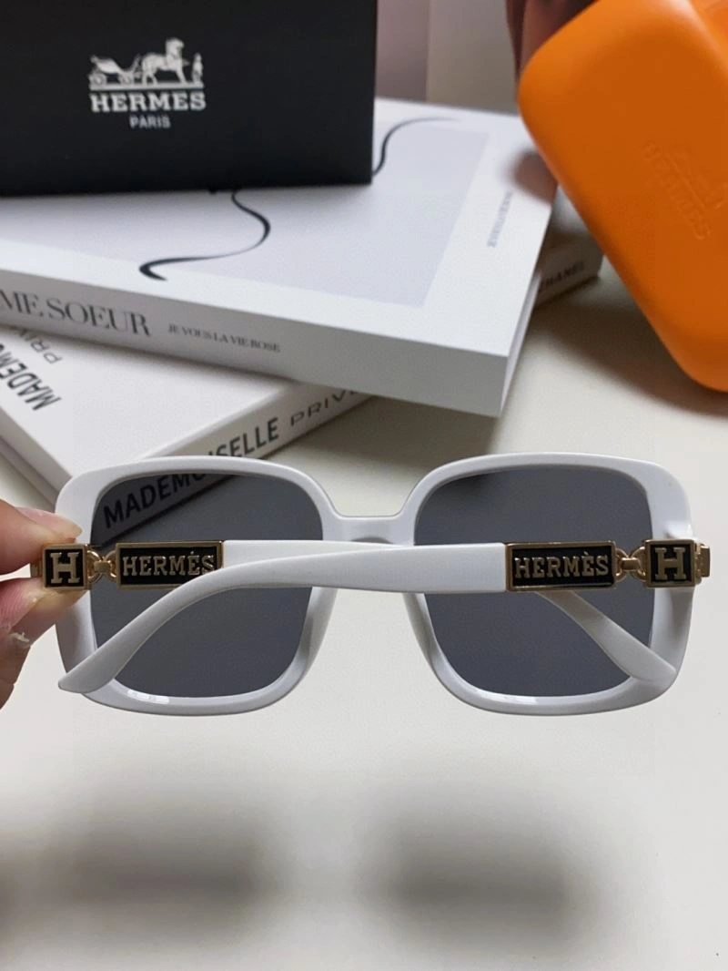 Hermes Sunglasses Snug 280191