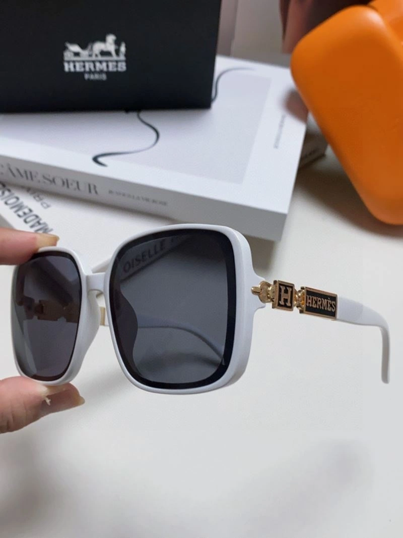 Hermes Sunglasses Snug 280191