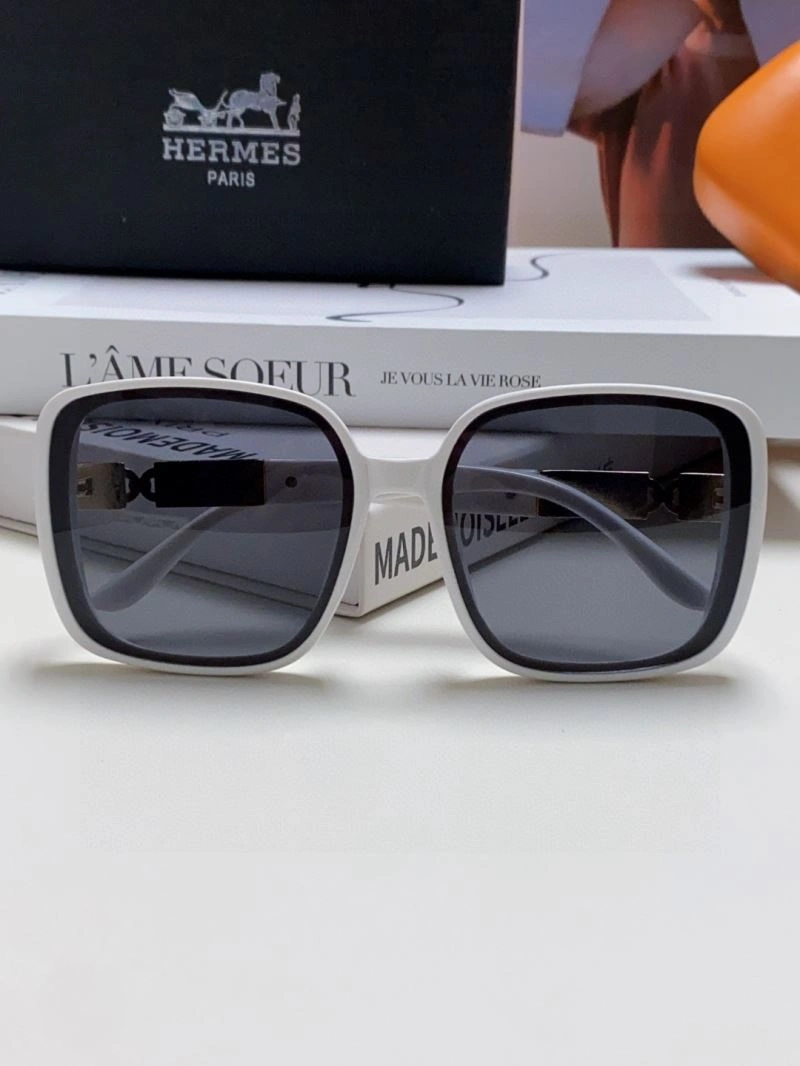 Hermes Sunglasses Snug 280191
