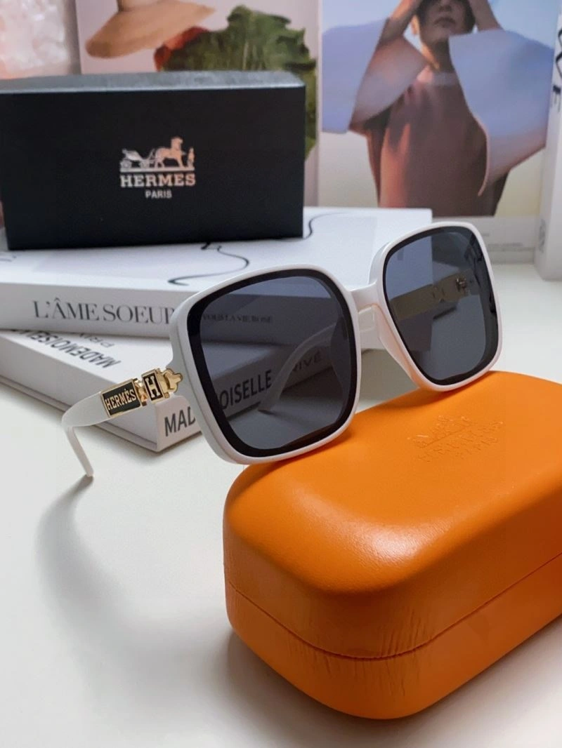 Hermes Sunglasses Snug 280191