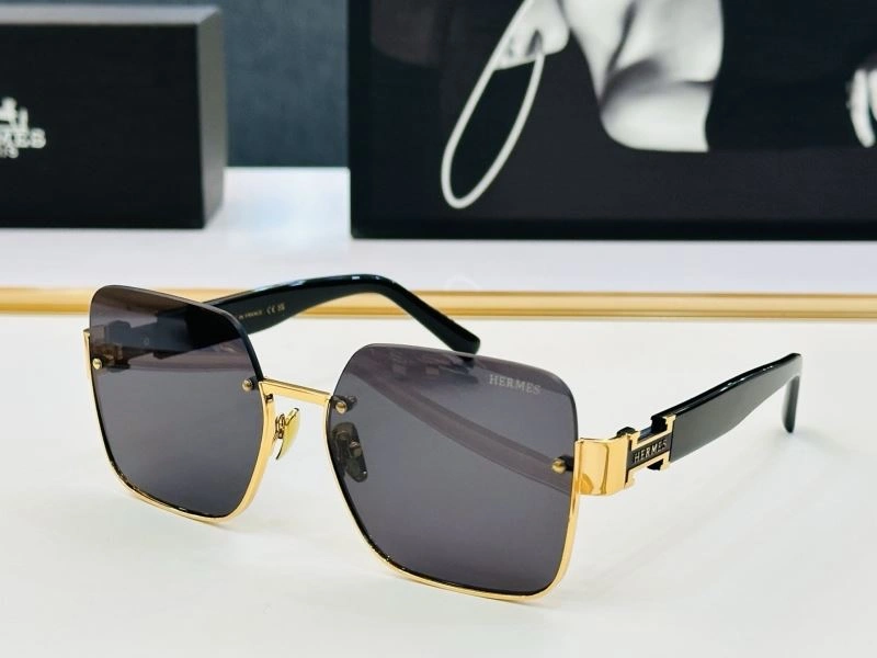 Hermes Sunglasses MultiPurpose 280192