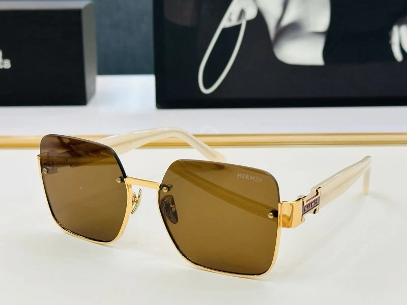 Hermes Sunglasses MultiPurpose 280192