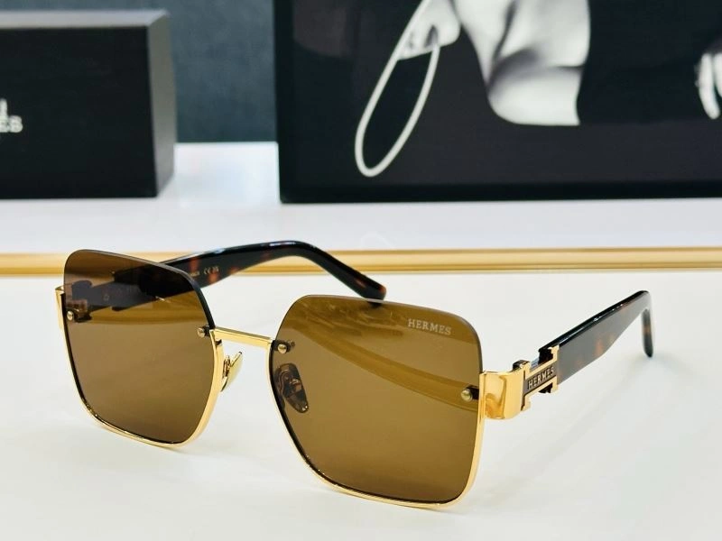Hermes Sunglasses MultiPurpose 280192