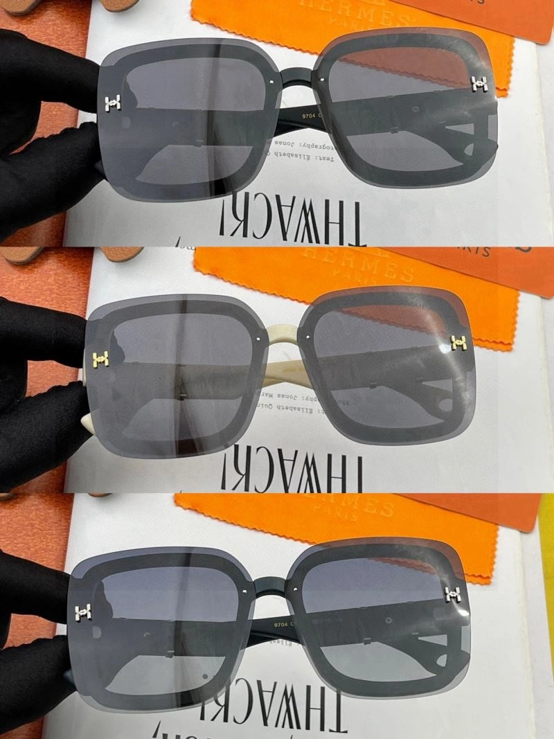Neat Hermes Sunglasses 280187