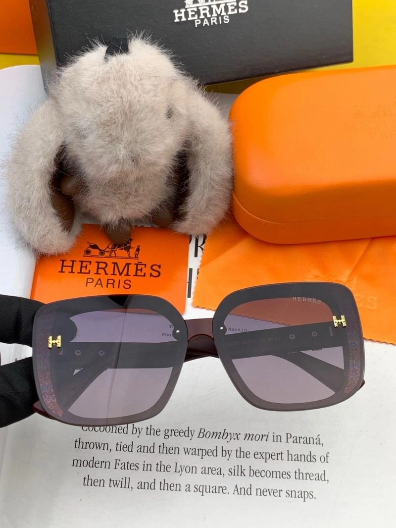 Hermes Sunglasses Cozy 280177