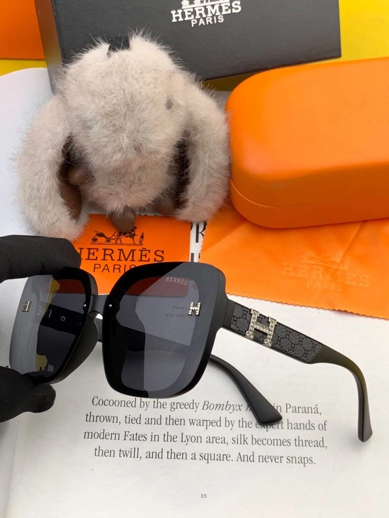 Hermes Sunglasses Cozy 280177