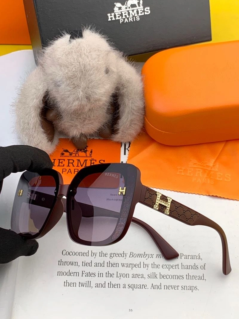 Hermes Sunglasses Cozy 280177