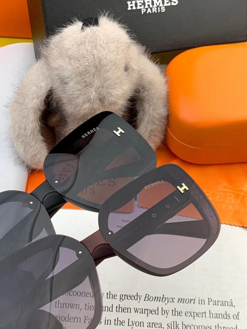 Hermes Sunglasses Cozy 280177