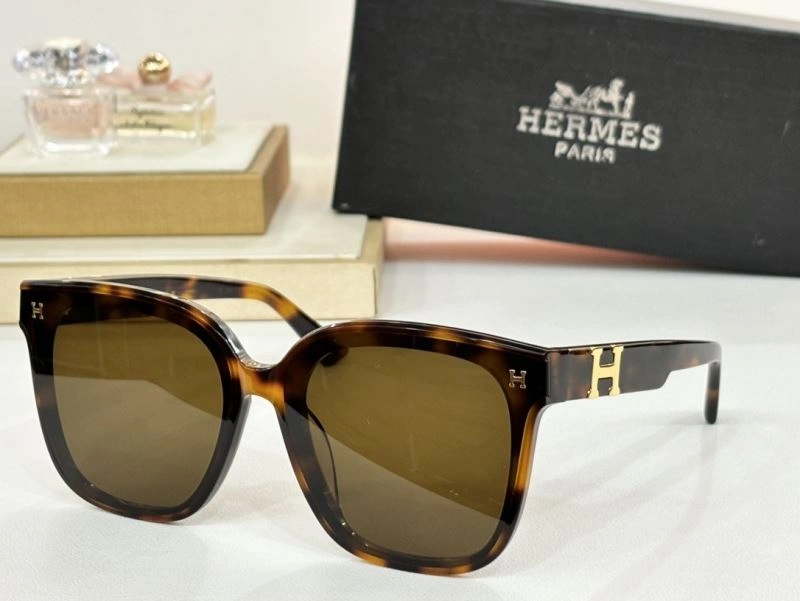 Hermes Sunglasses Casual 280223