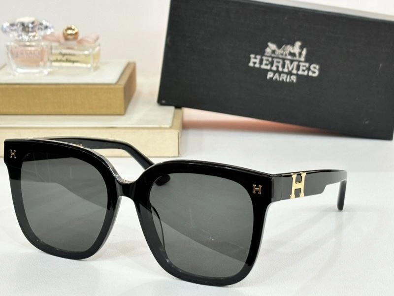 Hermes Sunglasses Casual 280223