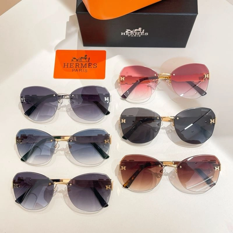 Stretchable Hermes Sunglasses 280231