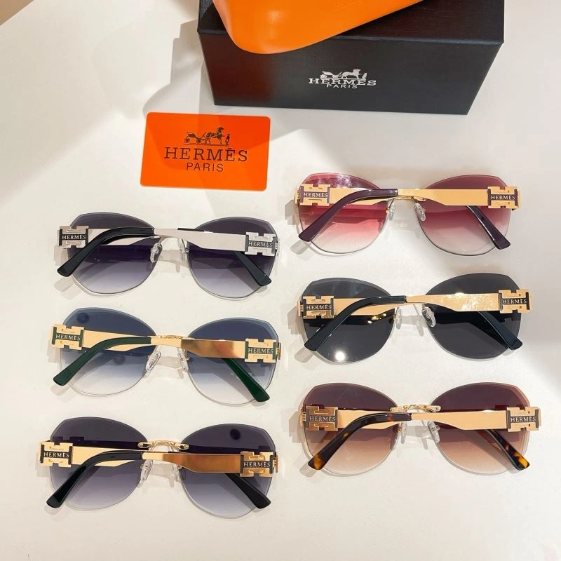 Stretchable Hermes Sunglasses 280231