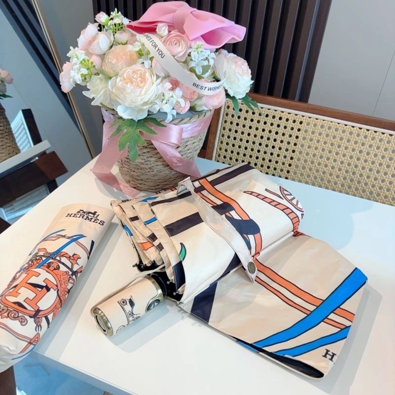 Hermes Umbrella Sleek 274859