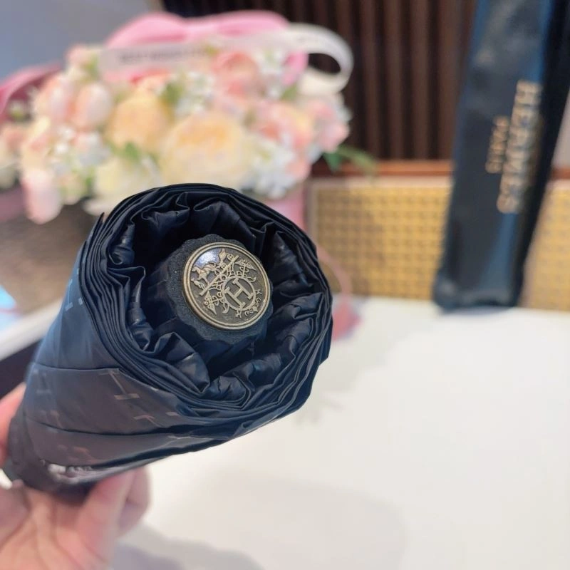 Supportive Hermes Umbrella 274856