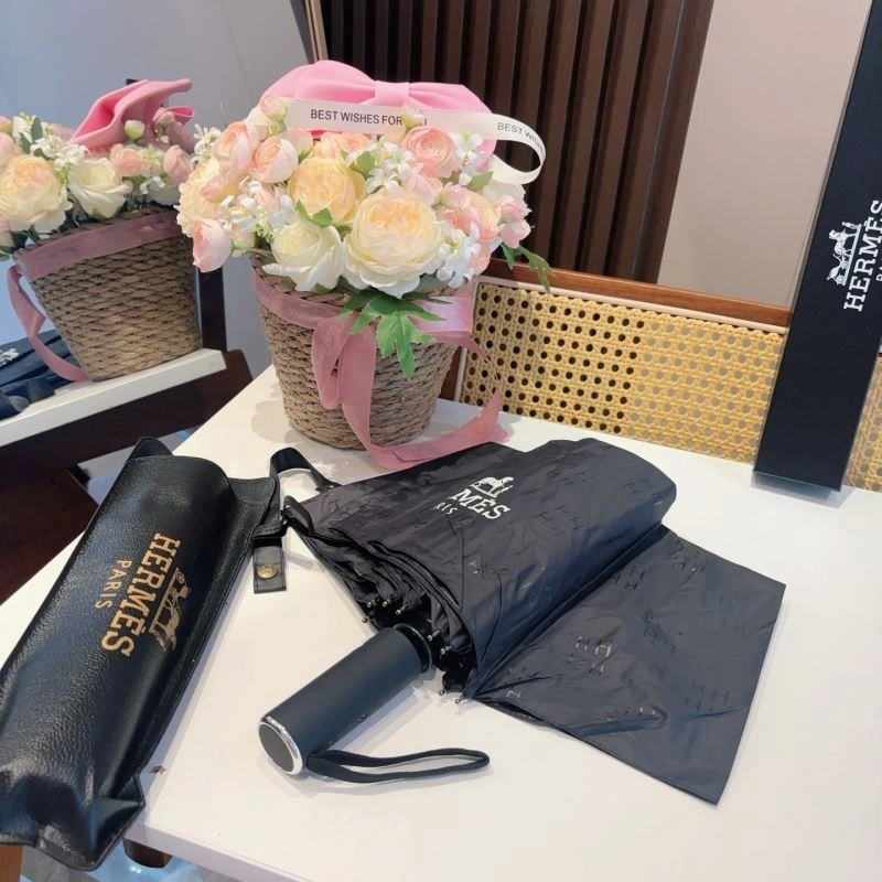 Supportive Hermes Umbrella 274856