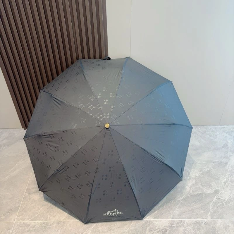 Supportive Hermes Umbrella 274856