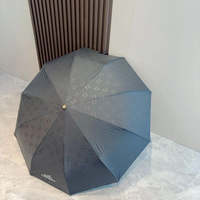 Supportive Hermes Umbrella 274856