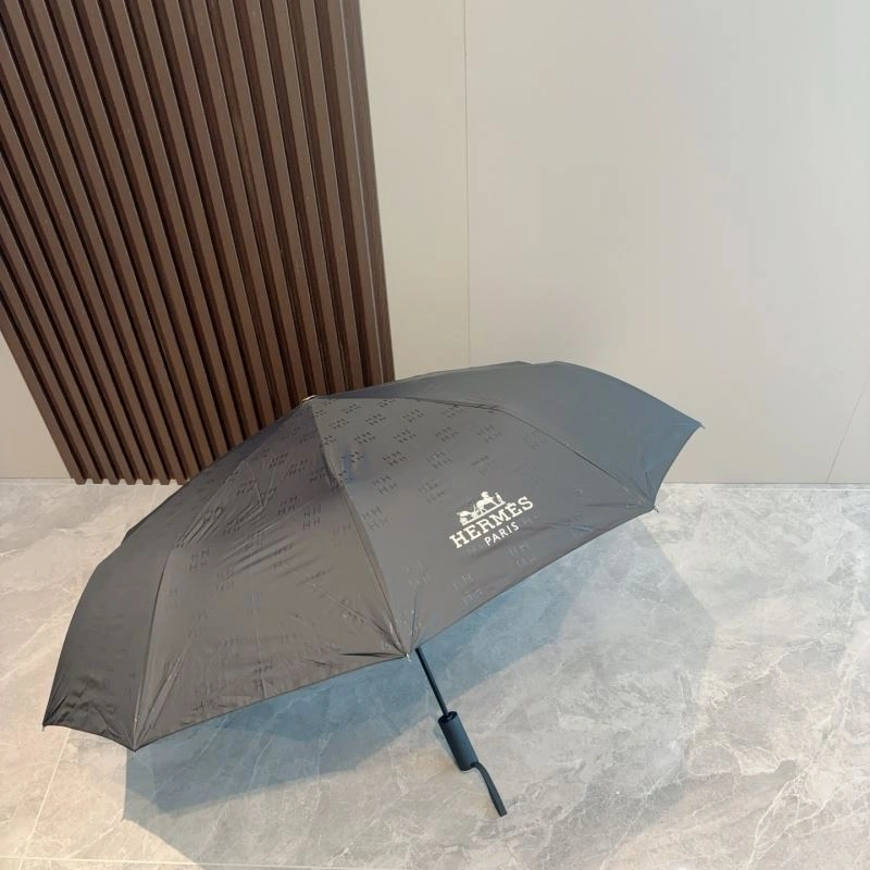 Supportive Hermes Umbrella 274856