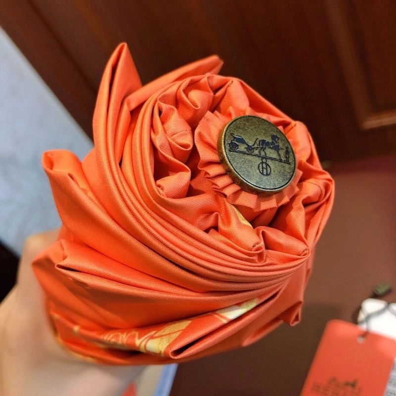 Hermes Umbrella Soft 274826