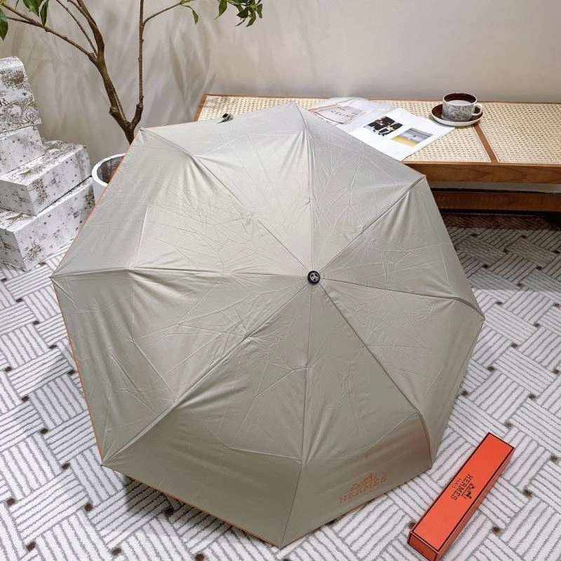 EyeCatching Hermes Umbrella 275473