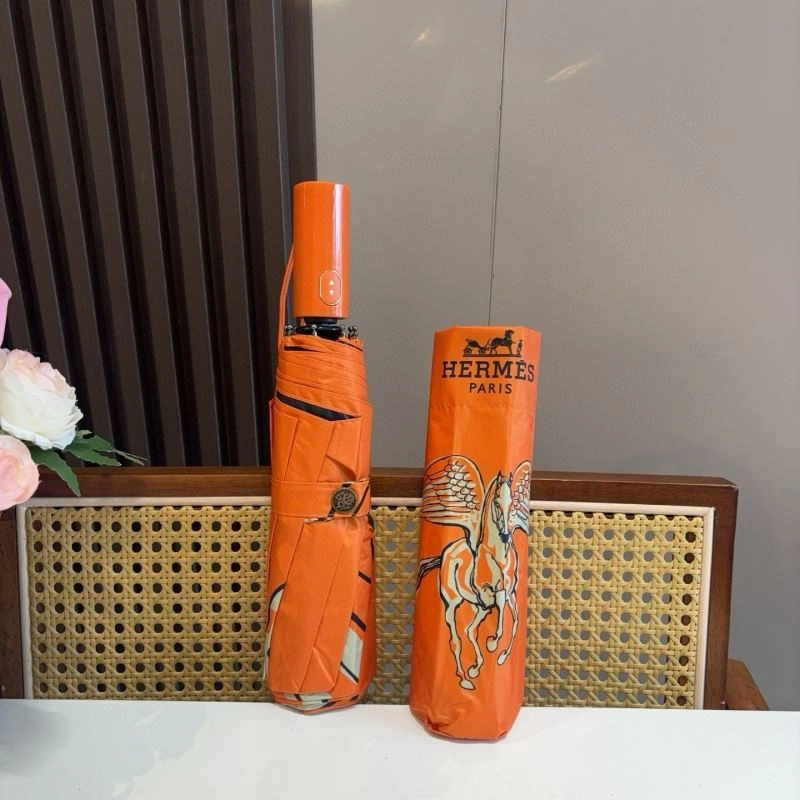 Sophisticated Hermes Umbrella 275377