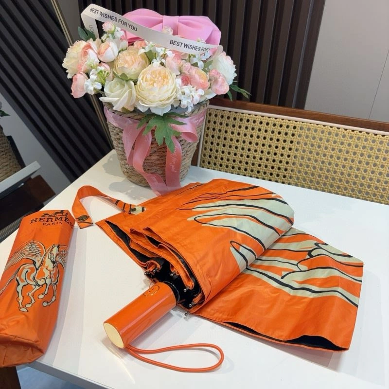 Sophisticated Hermes Umbrella 275377