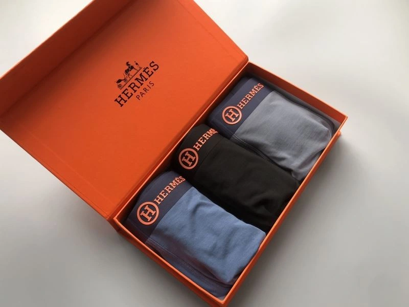 Vibrant Hermes Underwear 276781