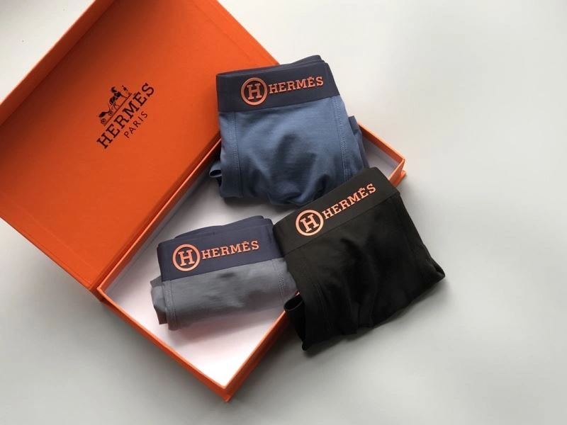 Vibrant Hermes Underwear 276781