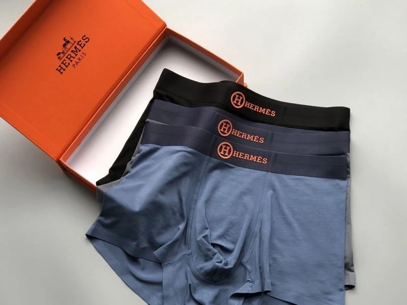 Vibrant Hermes Underwear 276781