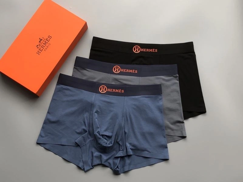 Vibrant Hermes Underwear 276781