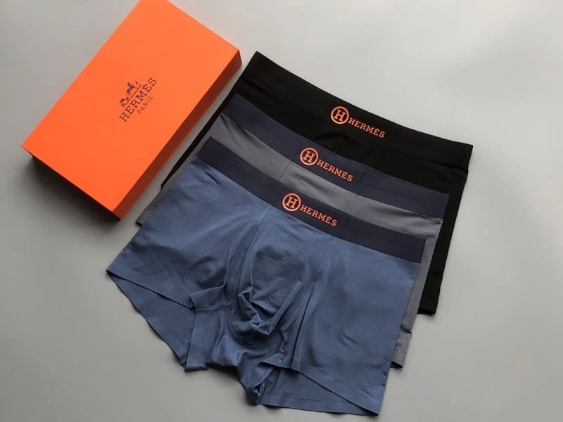 Vibrant Hermes Underwear 276781