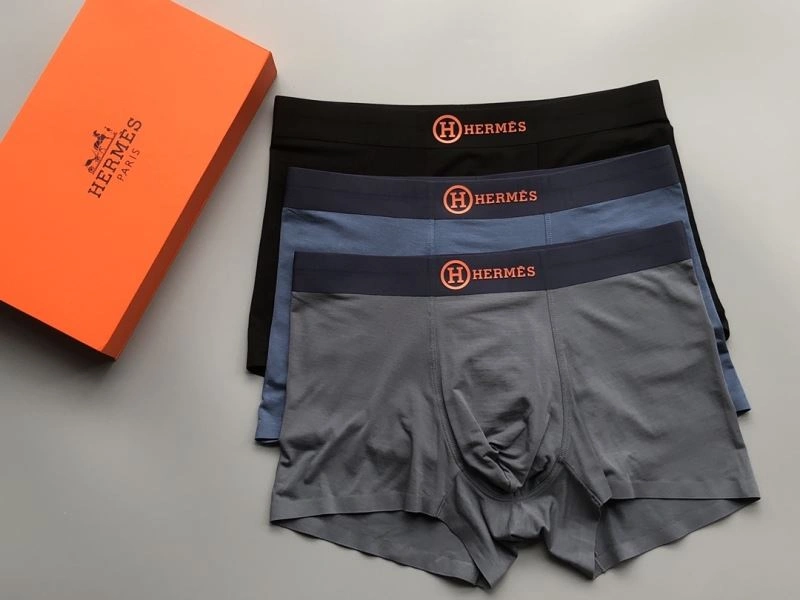 Vibrant Hermes Underwear 276781