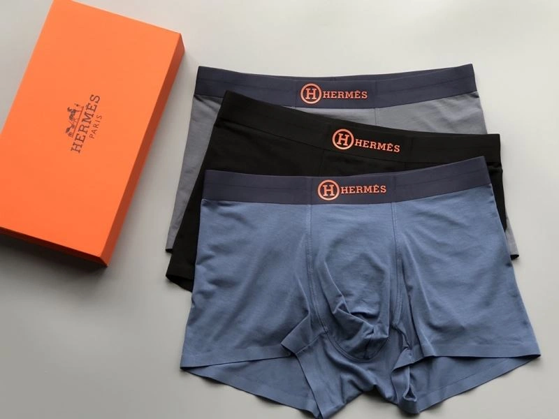 Vibrant Hermes Underwear 276781