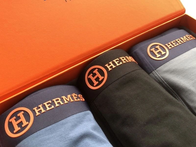 Vibrant Hermes Underwear 276781