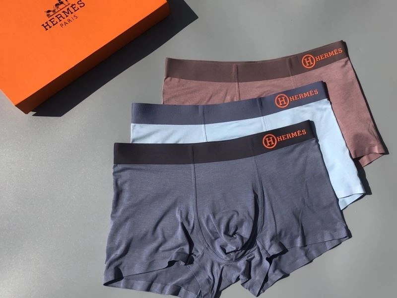 Hermes Underwear Unique 276771