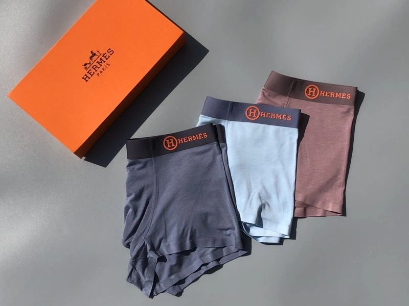 Hermes Underwear Unique 276771