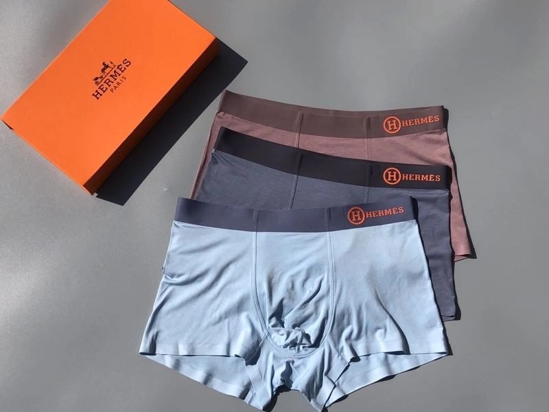 Hermes Underwear Unique 276771
