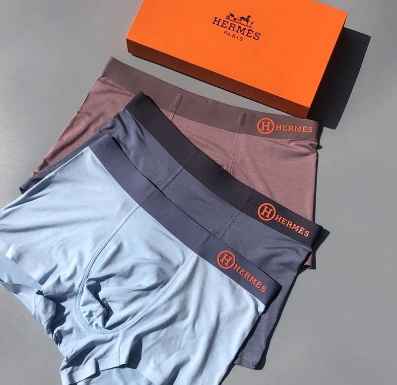 Hermes Underwear Unique 276771